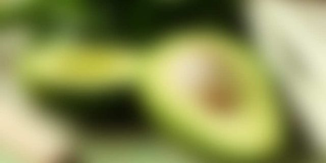 Web Developers Conference